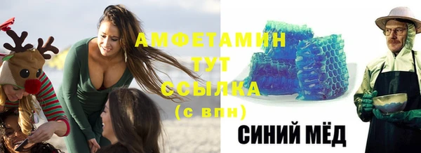 ПСИЛОЦИБИНОВЫЕ ГРИБЫ Богданович