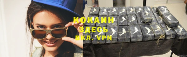 ПСИЛОЦИБИНОВЫЕ ГРИБЫ Богданович