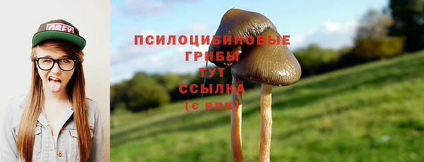 ПСИЛОЦИБИНОВЫЕ ГРИБЫ Богданович