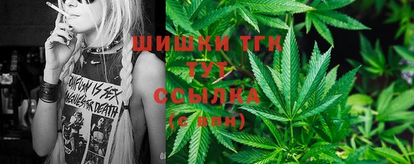 спайс Богородицк