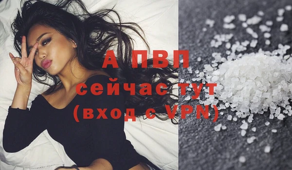 ПСИЛОЦИБИНОВЫЕ ГРИБЫ Богданович