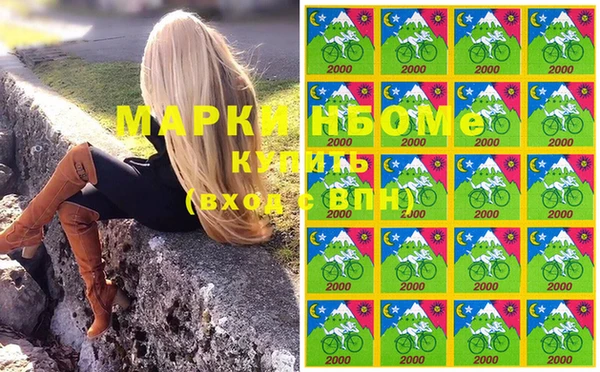 Альфа ПВП Богородск